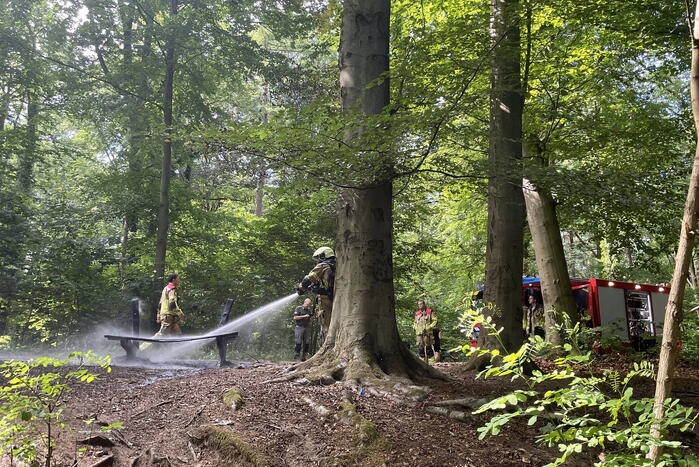 Brand midden is bosgebied