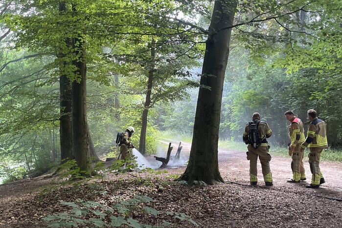 Brand midden is bosgebied