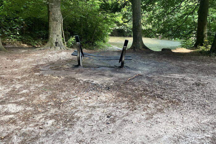 Brand midden is bosgebied