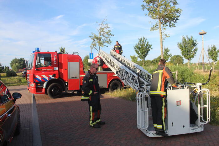 Brandweer zet jonge ooievaar terug in nest