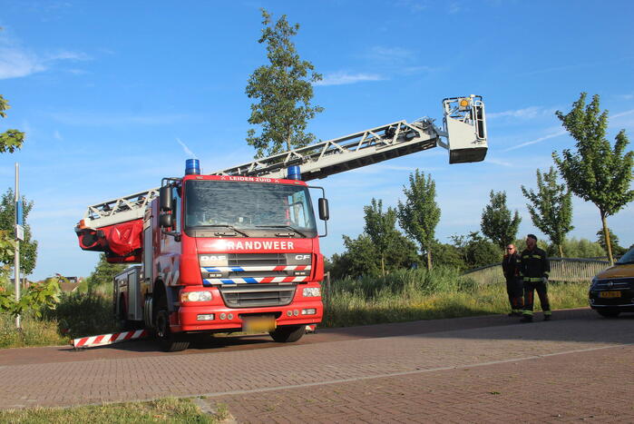 Brandweer zet jonge ooievaar terug in nest