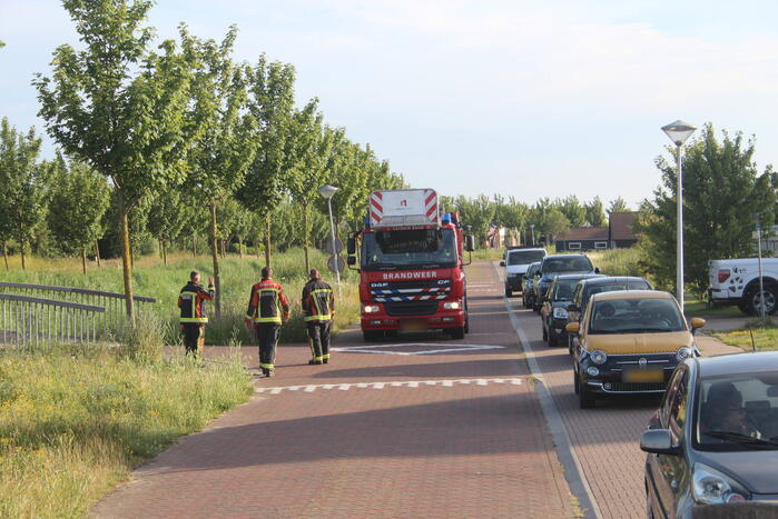 Brandweer zet jonge ooievaar terug in nest