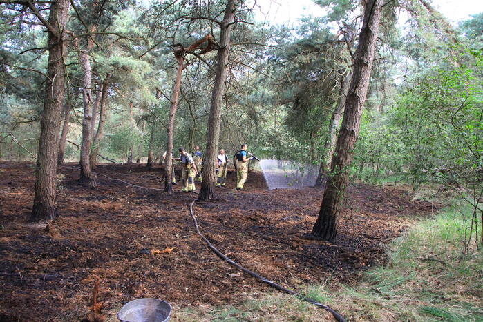Brand in bosgebied opnieuw geblust