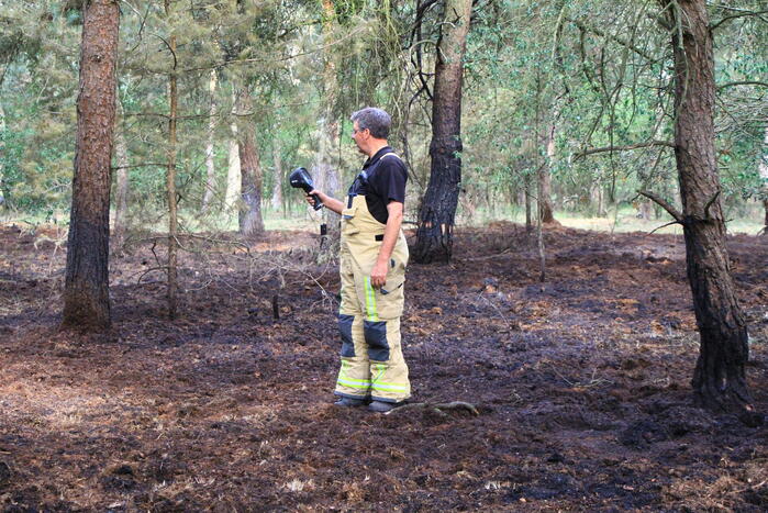 Brand in bosgebied opnieuw geblust