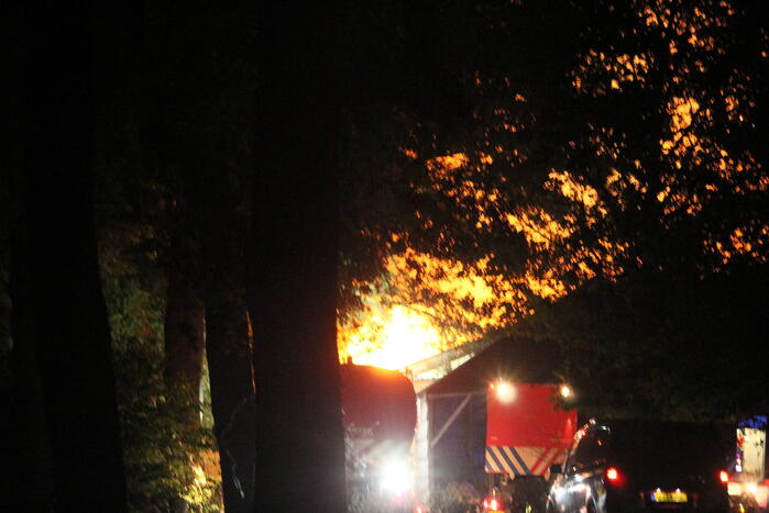 16 dieren omgekomen bij brand