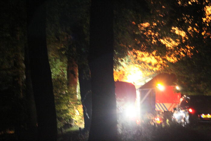 16 dieren omgekomen bij brand