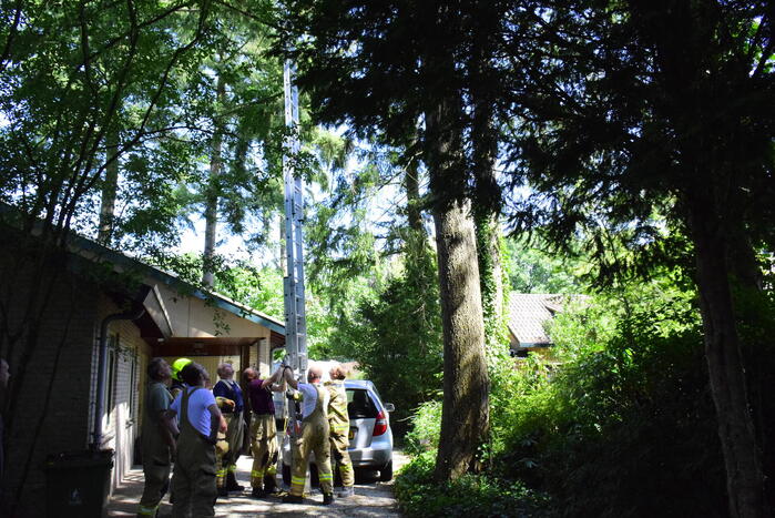 Kat Sam kiest hazenpad na reddingsactie