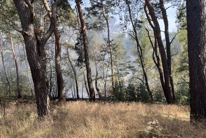 Flinke natuurbranden op de Brunssummerheide