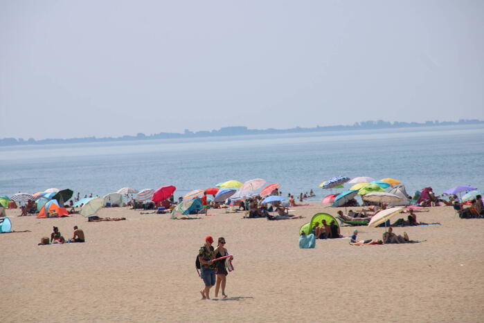 Drukte op het Maasvlaktestrand