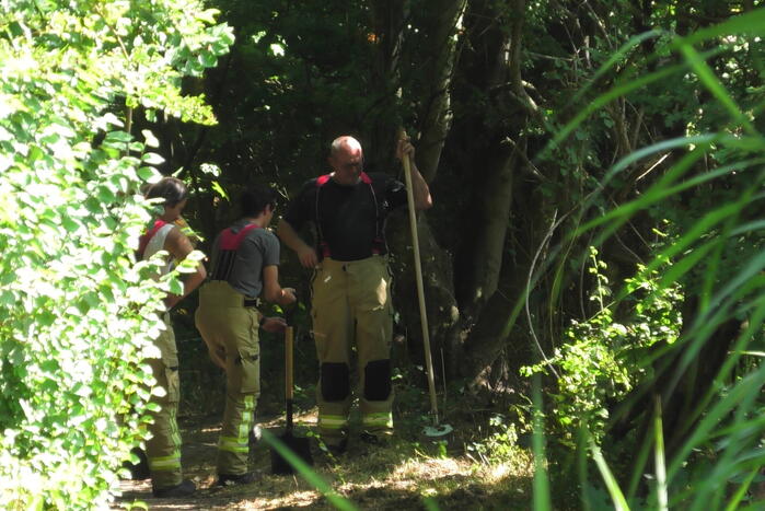Brand op wandelpad in natuurgebied snel gedoofd