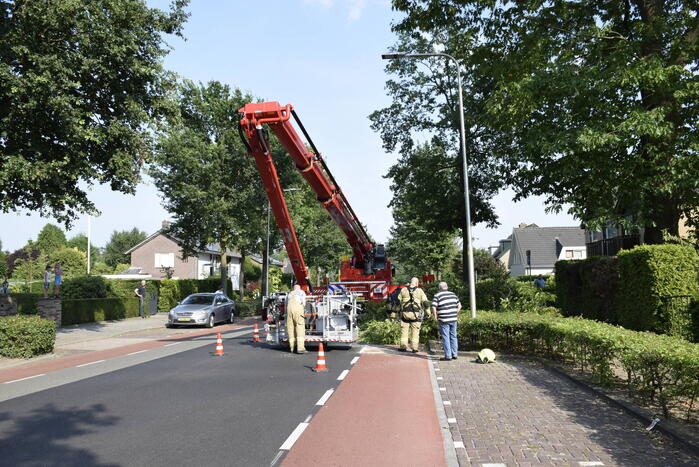 Brandweer verwijdert gevaarlijk hangende tak