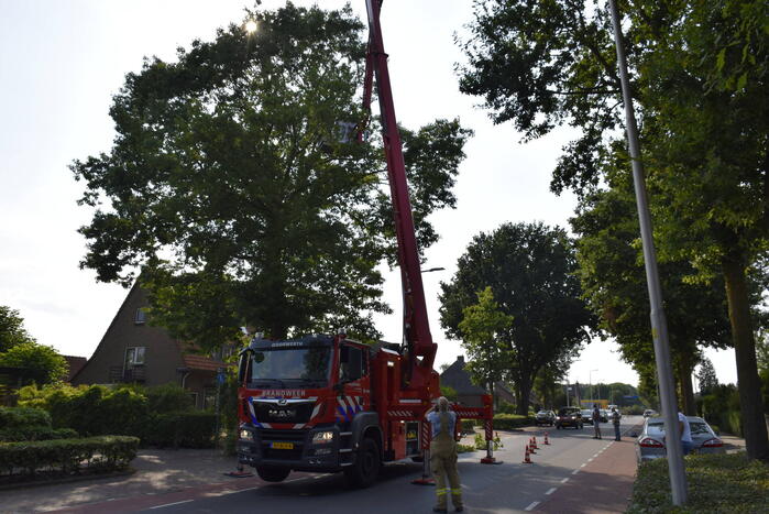 Brandweer verwijdert gevaarlijk hangende tak