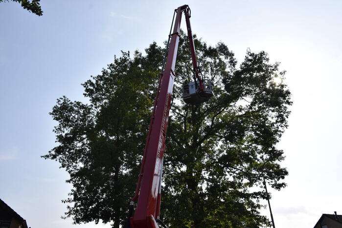 Brandweer verwijdert gevaarlijk hangende tak