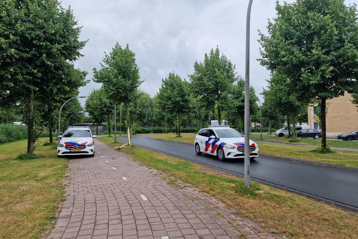 Automobiliste botst door gladheid op boom