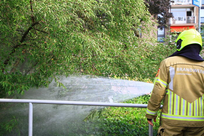 Meerdere kleine branden gesticht in bosschage