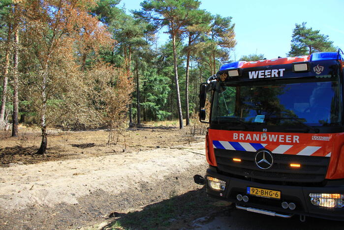 Stuk bosgebied in brand