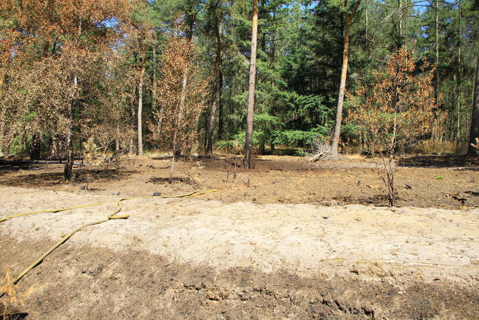 Stuk bosgebied in brand