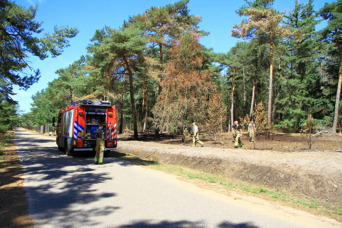 Stuk bosgebied in brand