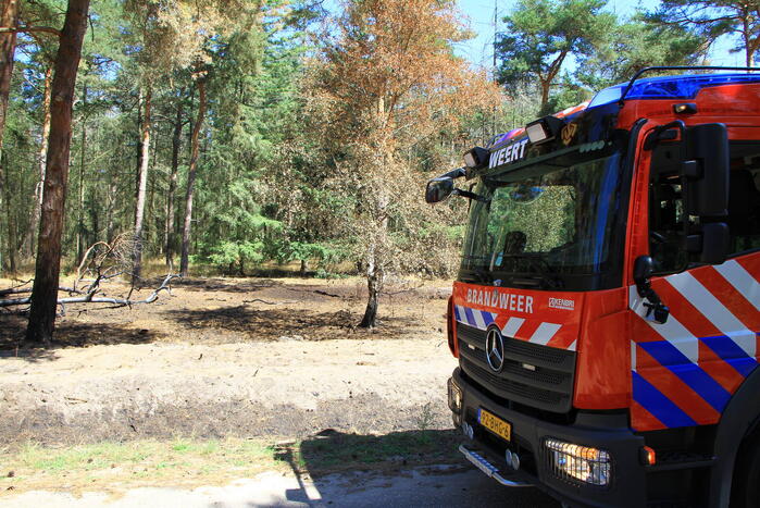 Stuk bosgebied in brand