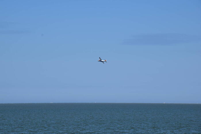 Lichaam gevonden tijdens zoekactie naar vermiste man