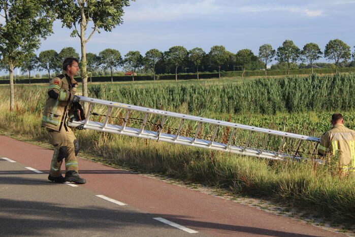 Veel mankrachten ingezet bij paard te water