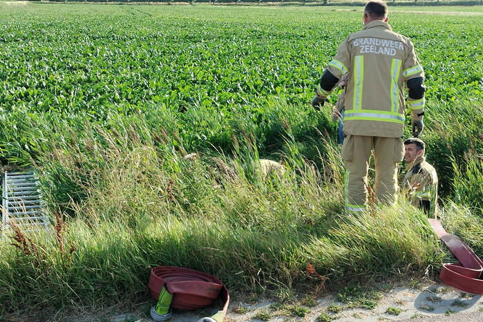 Veel mankrachten ingezet bij paard te water