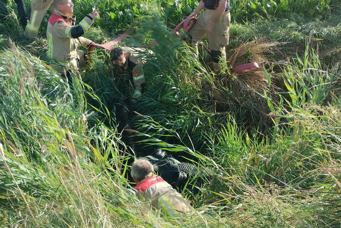 Veel mankrachten ingezet bij paard te water