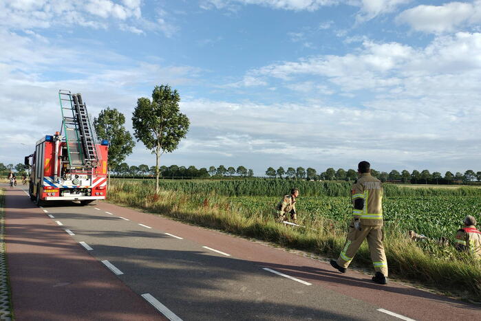Veel mankrachten ingezet bij paard te water