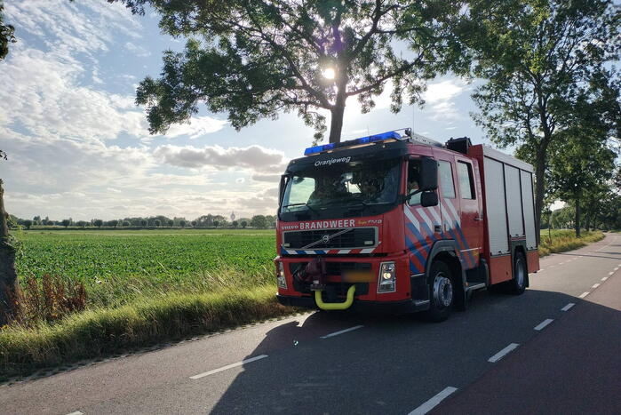 Veel mankrachten ingezet bij paard te water