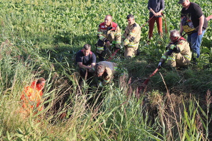 Veel mankrachten ingezet bij paard te water