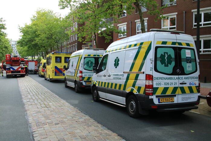 Enorme rookwolken bij brand in appartement
