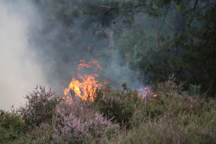Kampvuur veroorzaakt heidebrand