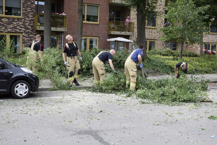 Grote tak breekt van boom af