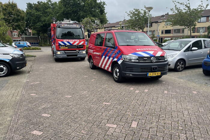 Eikenlaan Nieuws Spijkenisse 