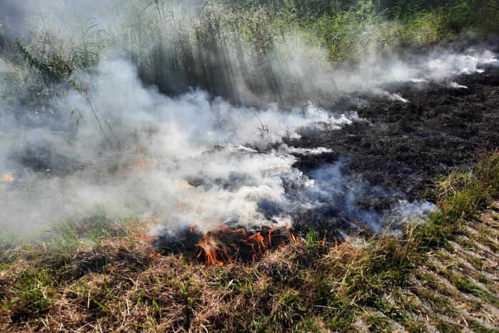 Omstanders doven bermbrand met kleed