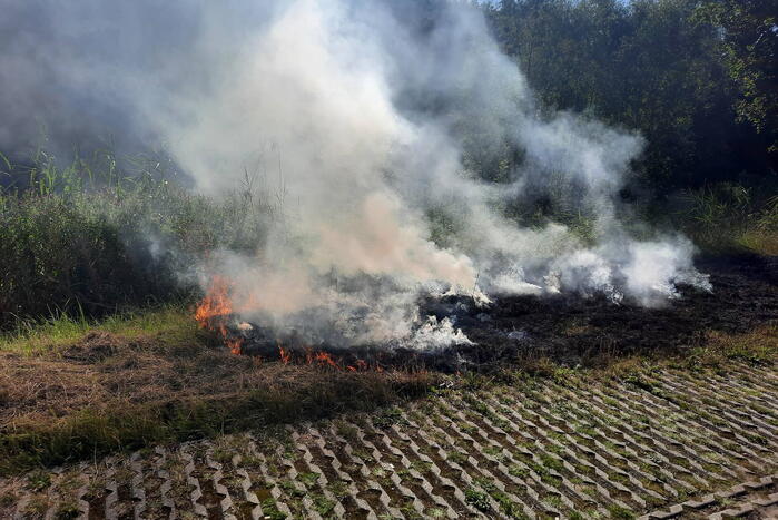 Omstanders doven bermbrand met kleed