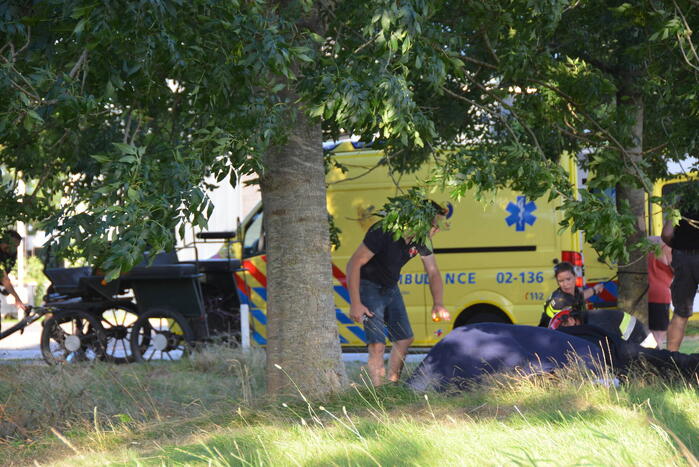 Op hol geslagen paard veroorzaakt meerdere ongevallen met gewonden