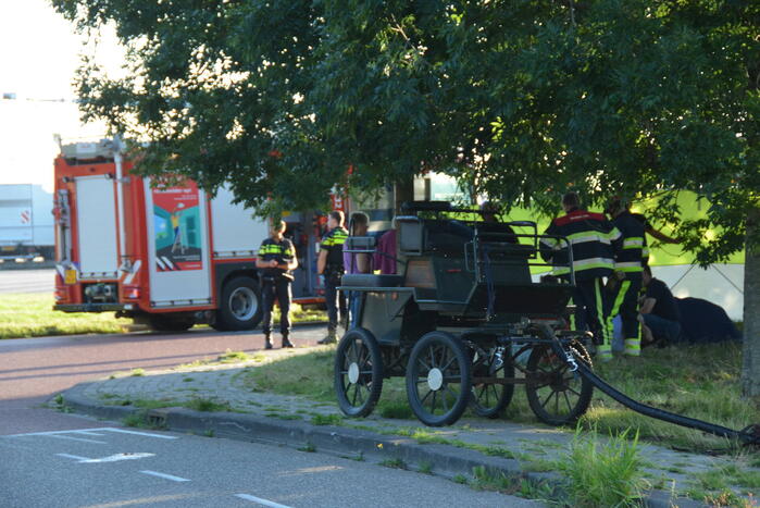 Op hol geslagen paard veroorzaakt meerdere ongevallen met gewonden