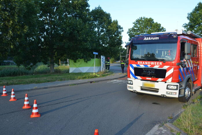 Op hol geslagen paard veroorzaakt meerdere ongevallen met gewonden