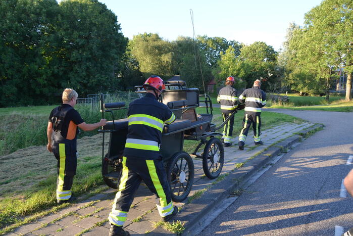 Op hol geslagen paard veroorzaakt meerdere ongevallen met gewonden