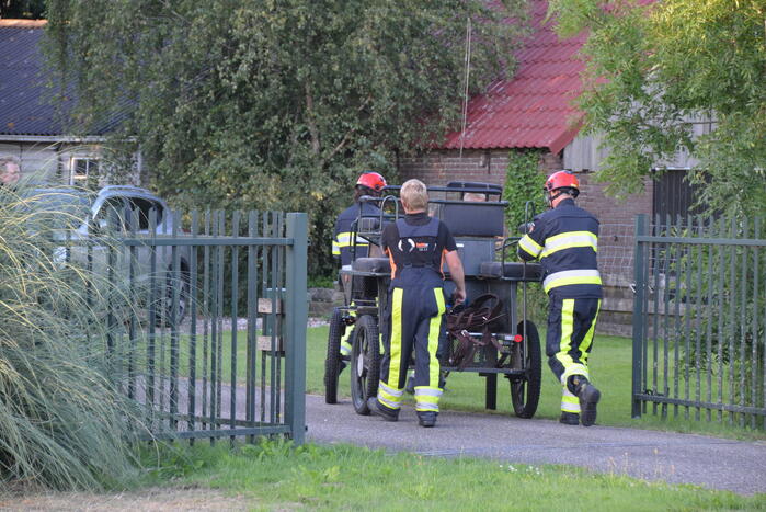 Op hol geslagen paard veroorzaakt meerdere ongevallen met gewonden