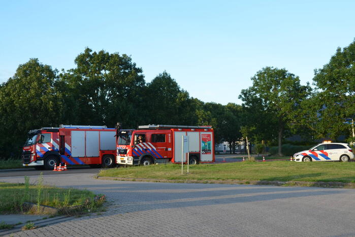 Op hol geslagen paard veroorzaakt meerdere ongevallen met gewonden