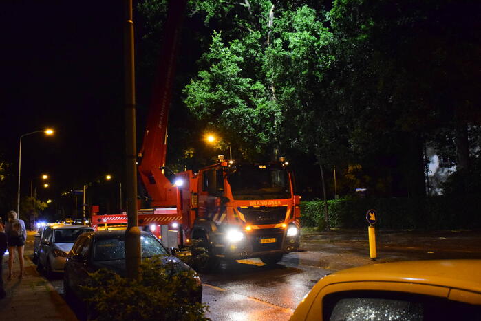 Bliksem slaat in boom man komt met schrik vrij