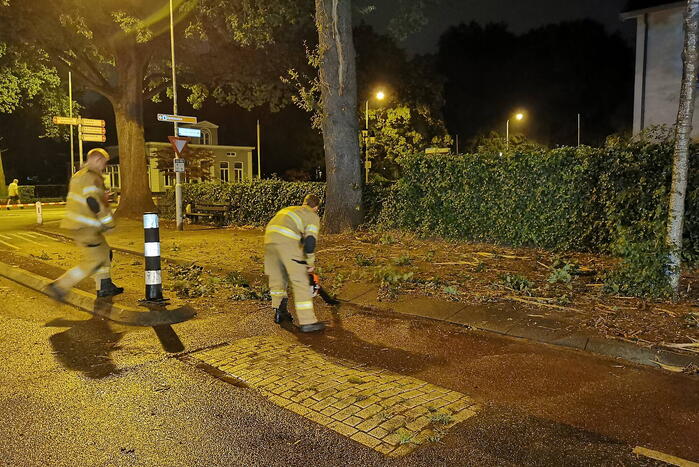Bliksem slaat in boom man komt met schrik vrij