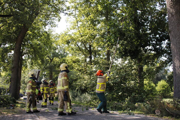 Brandweer haalt gevaarlijk hangende takken uit boom
