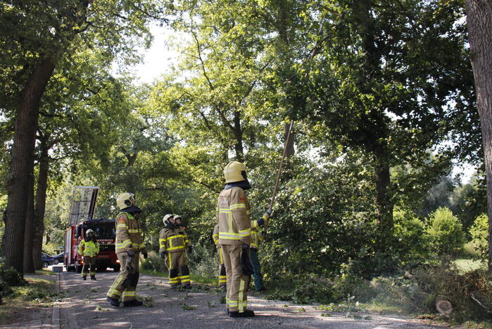 Brandweer haalt gevaarlijk hangende takken uit boom