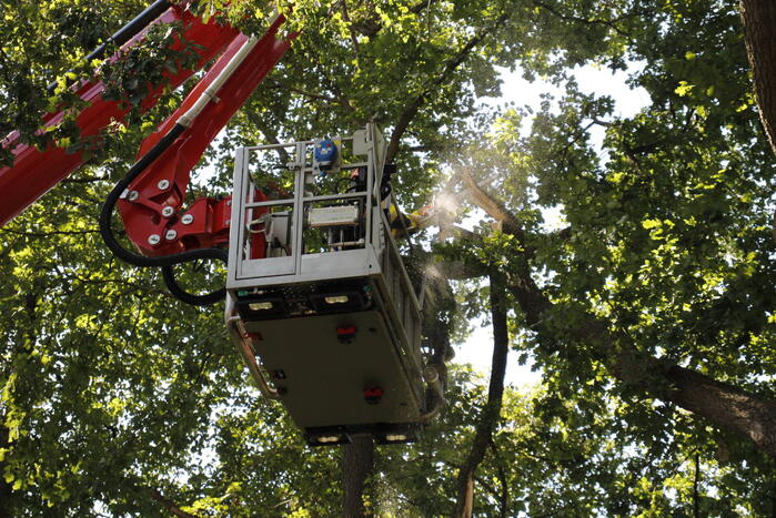 Brandweer haalt gevaarlijk hangende takken uit boom