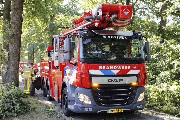 Brandweer haalt gevaarlijk hangende takken uit boom