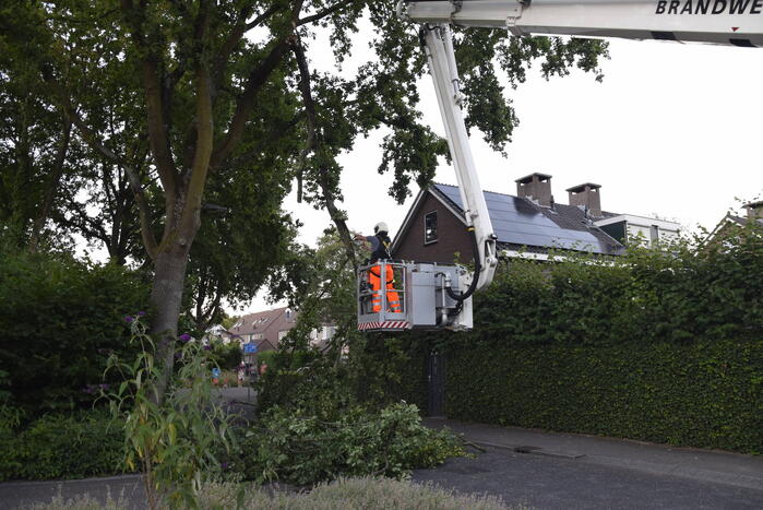 Brandweer ingezet voor afgebroken tak