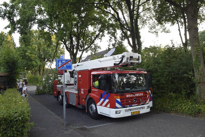 Brandweer ingezet voor afgebroken tak